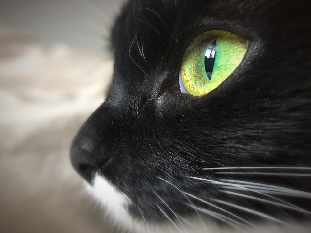 Photograph by Мария Шрейдер