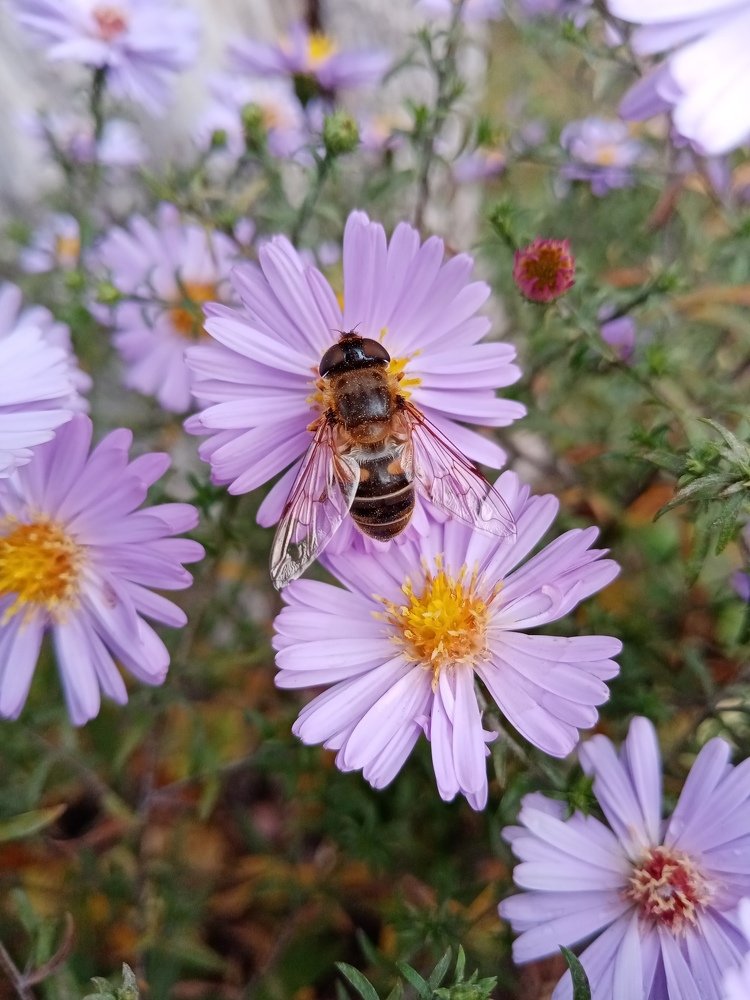 Photograph by Жанна Иванисенко