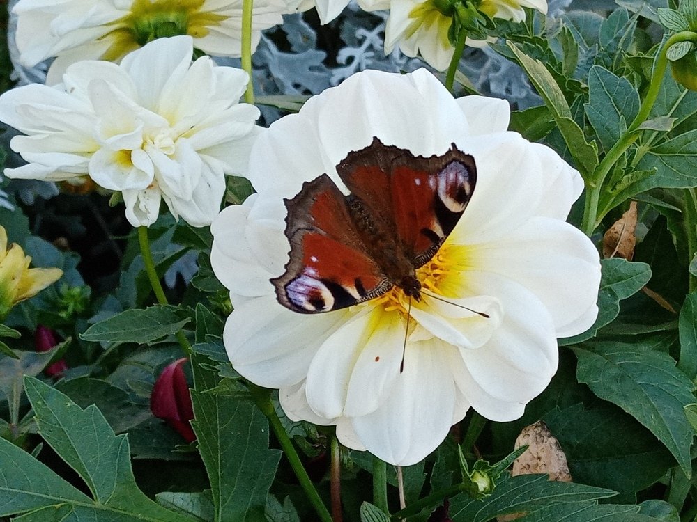 Photograph by Жанна Иванисенко