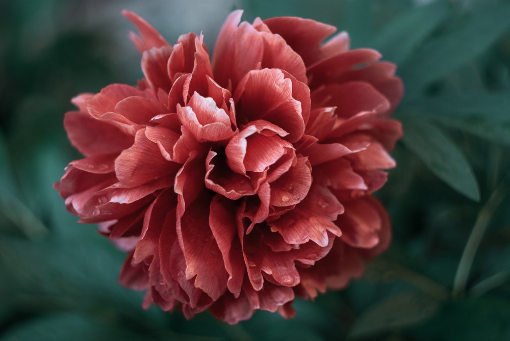 Фотография автора Наталья