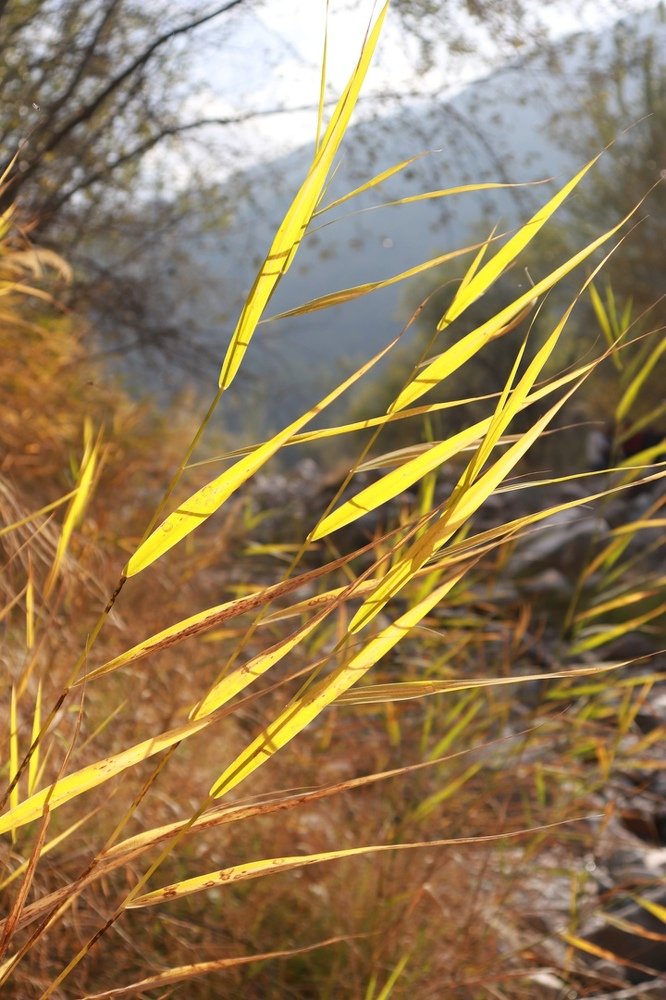 Photograph by Элина Купцова