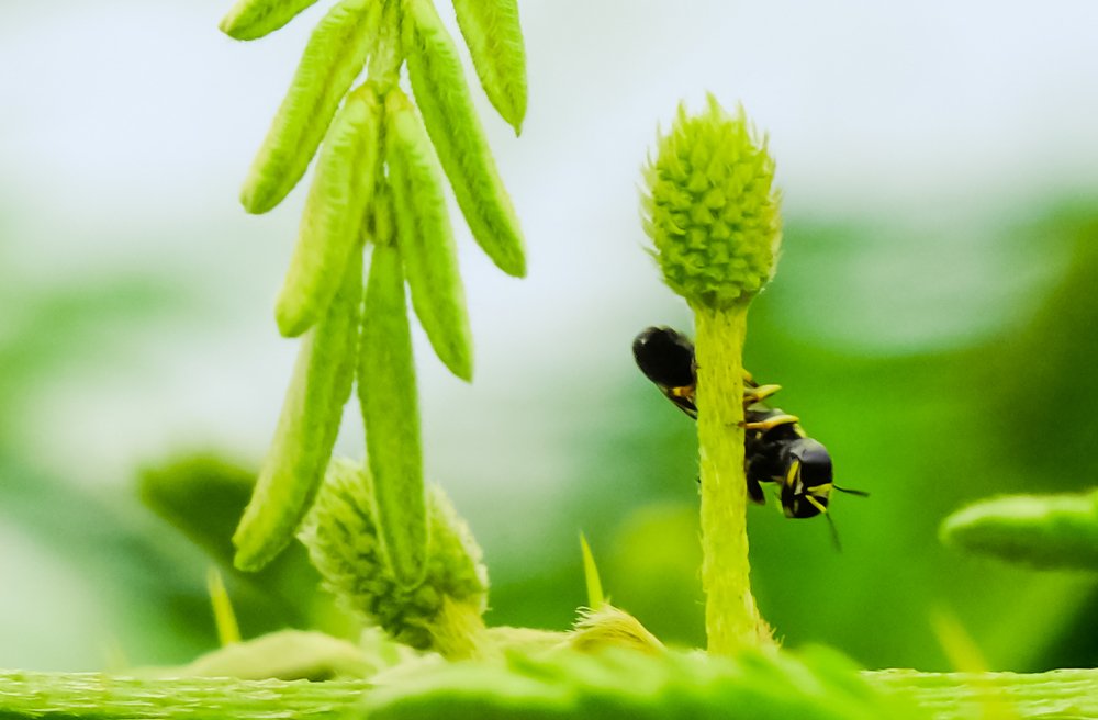 Photograph by firanurfitra