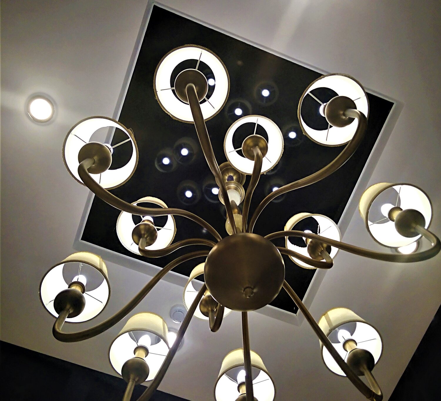 Photo #5081418