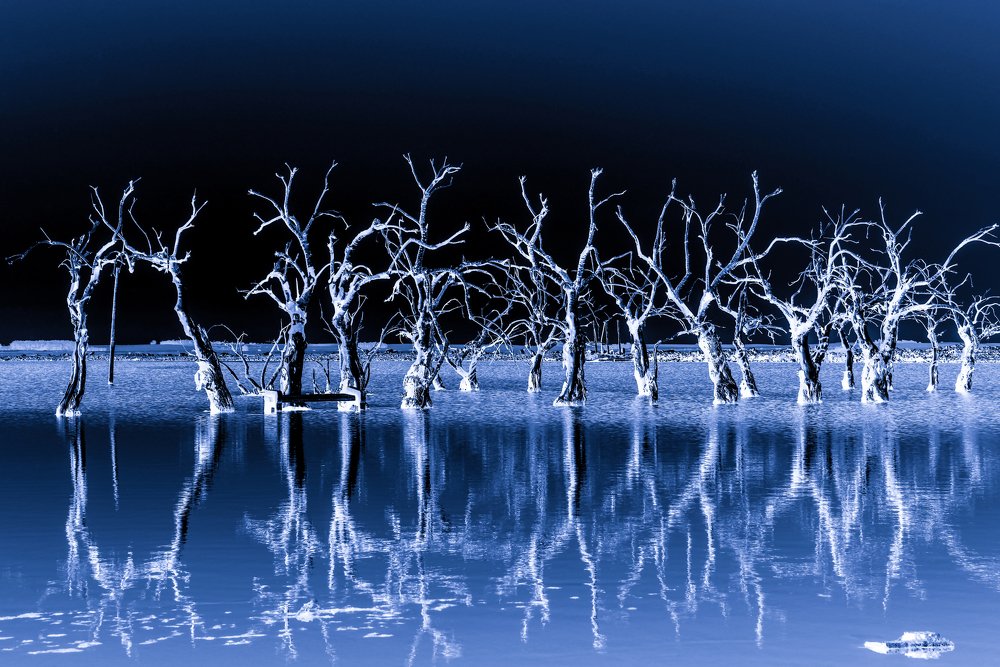 Photograph by Ricardo Kimmich