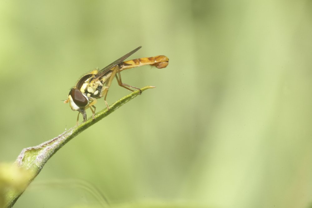 Photograph by Анастасия Тупицына