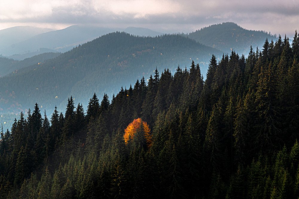 Не такое как  все...