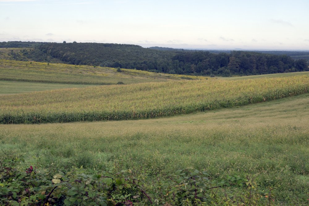 Photograph by Володимир Федишин