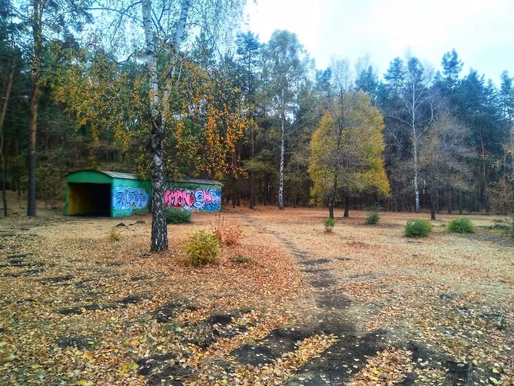 Photograph by Денис Сударчиков