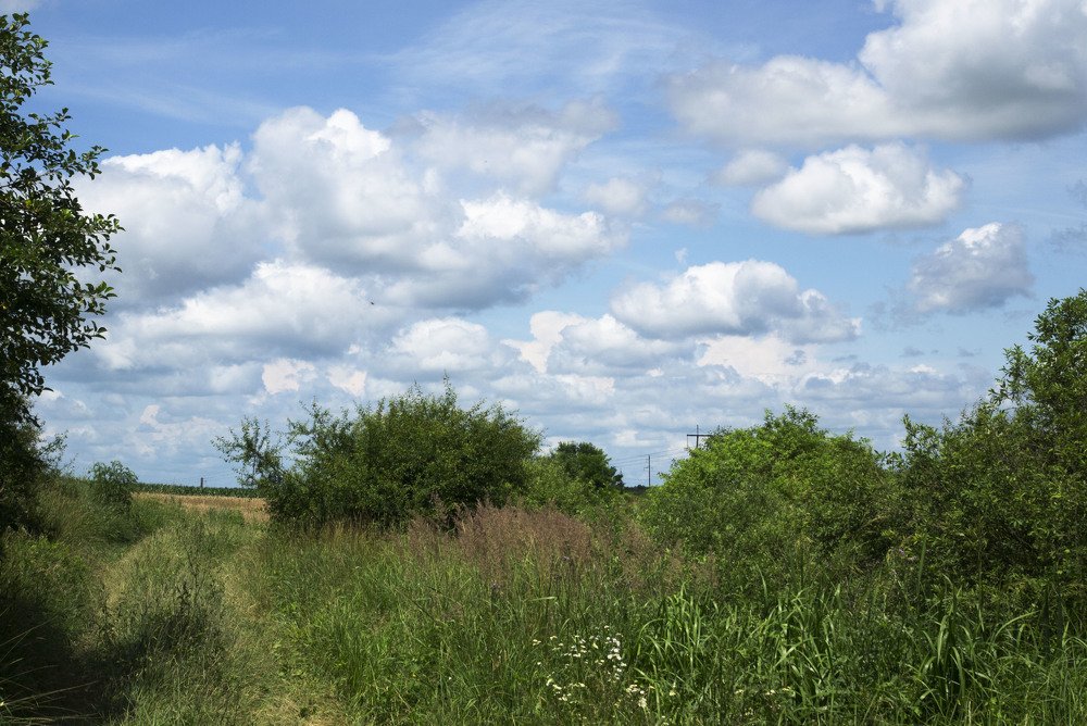 Летний день родного Закарпатья