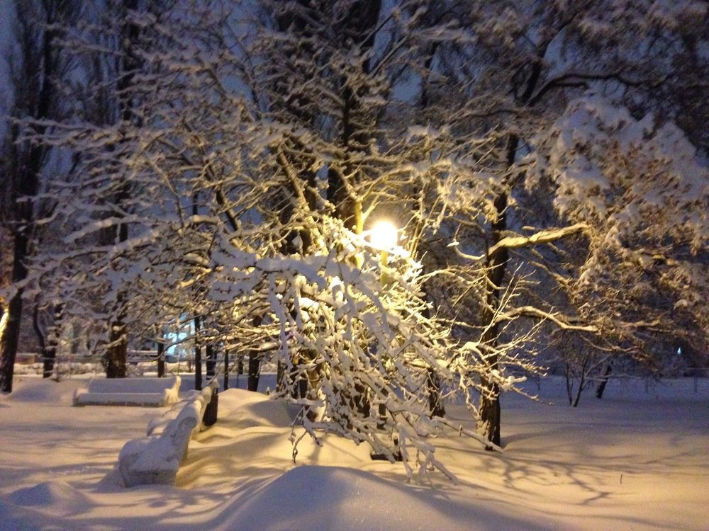 Photograph by Ирина Зунтова