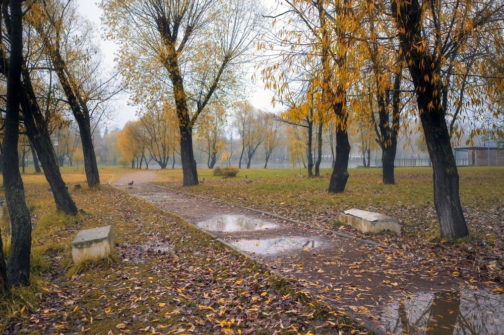 Photograph by Андрей Ныриков