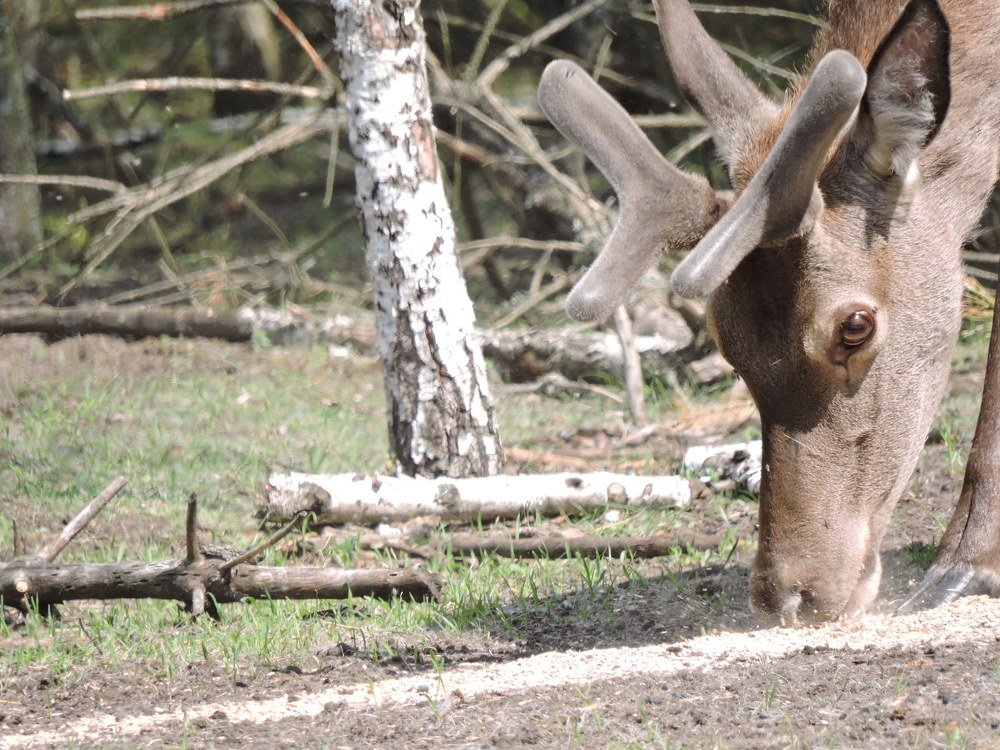 Photograph by Михаил Царикевич