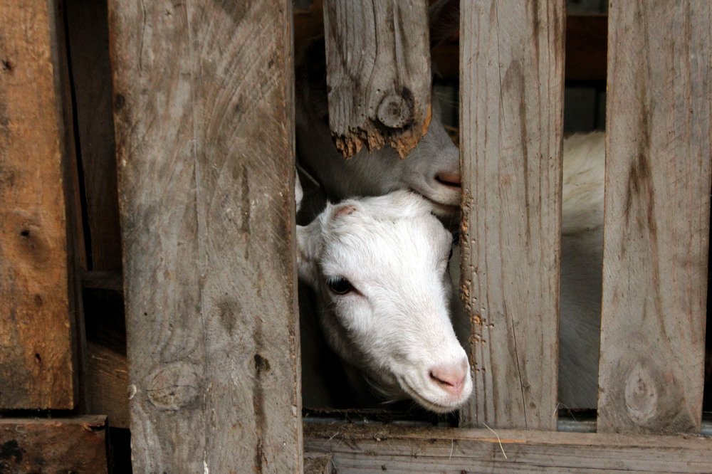 Photograph by Анна Ополихина