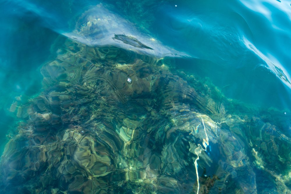 Photograph by Наталья Зорина