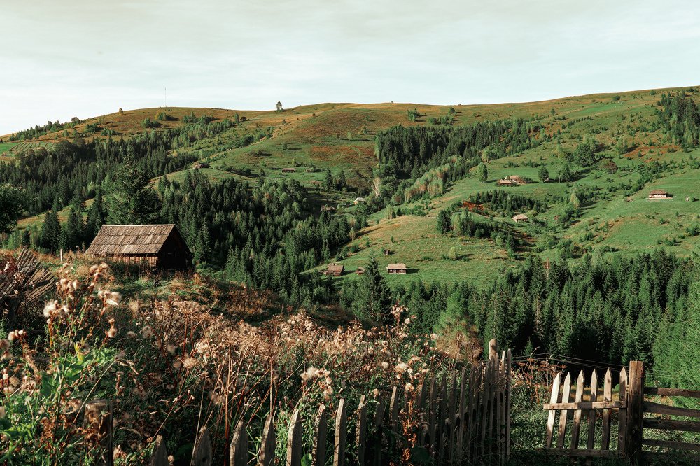 Photograph by Никита Чернов