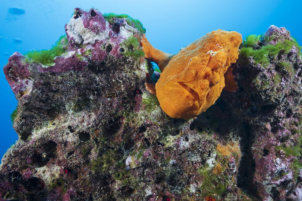 Photograph by Марк Гузик