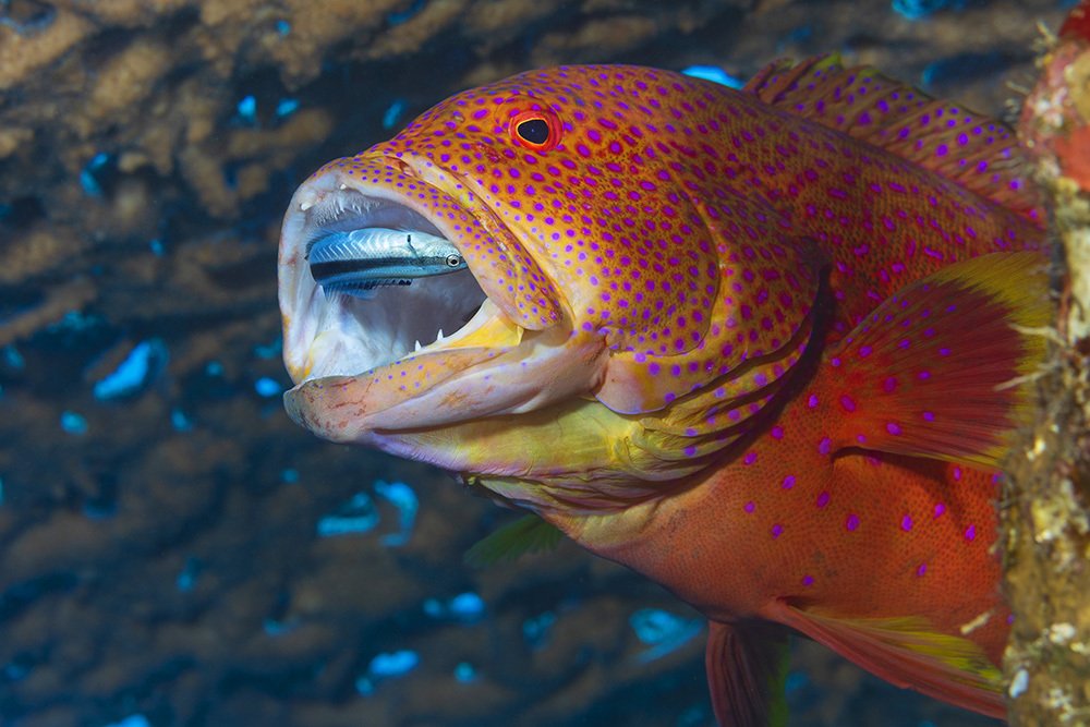 Photograph by Марк Гузик