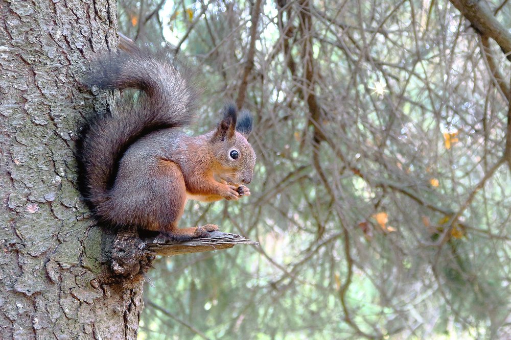 Photograph by Константин Юрченко