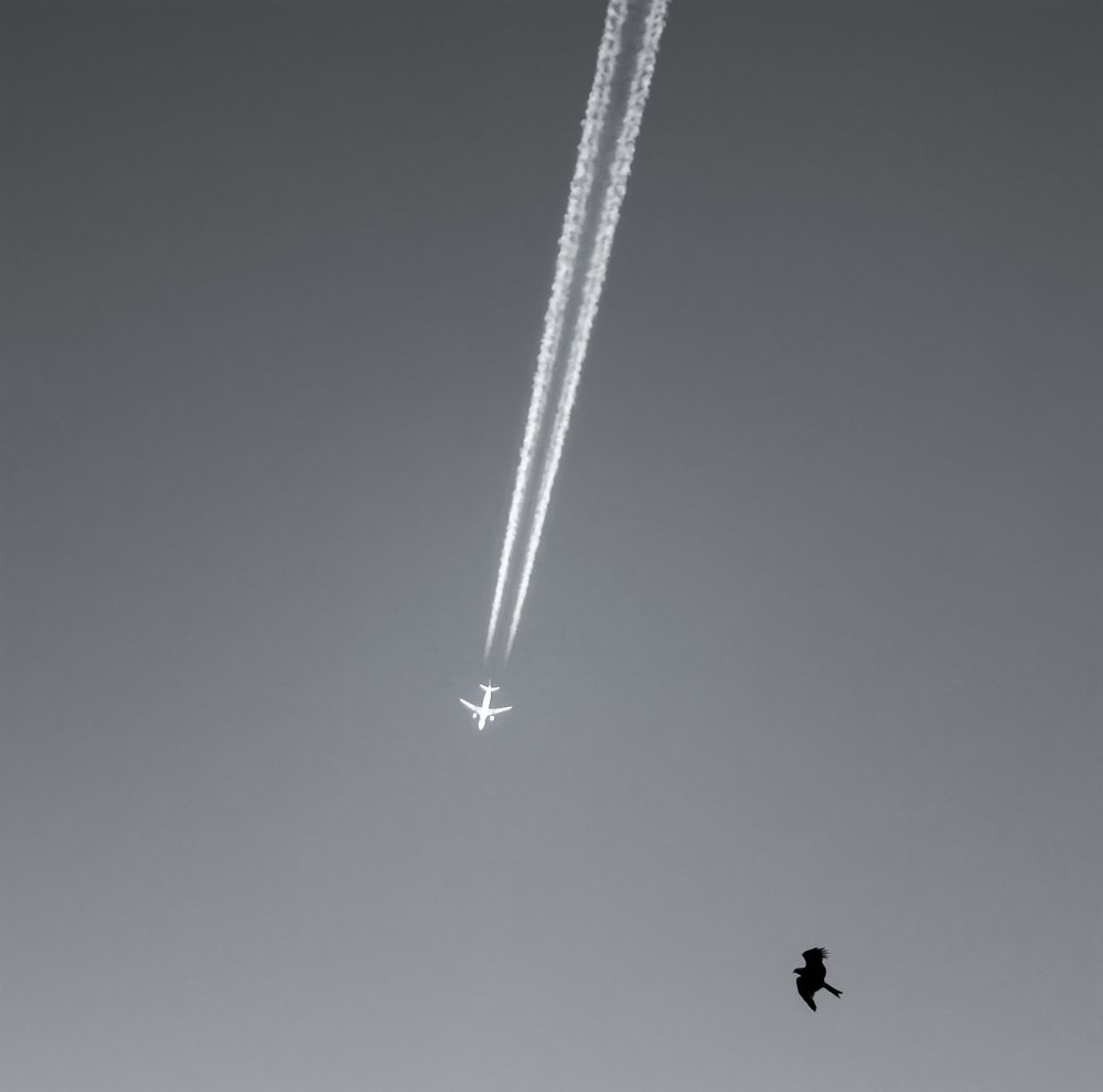 Photograph by олег кирюшкин