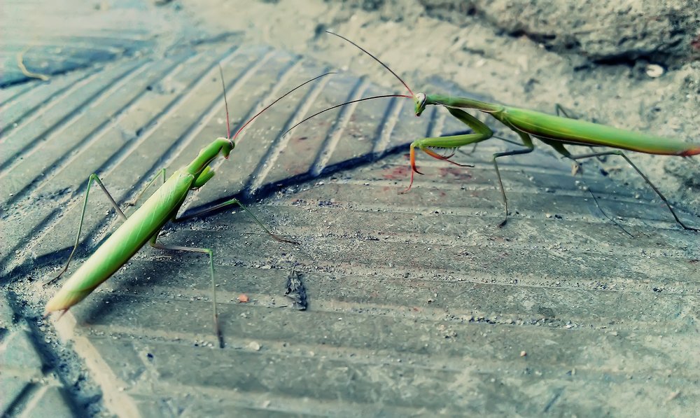 Photograph by Александр Малютин