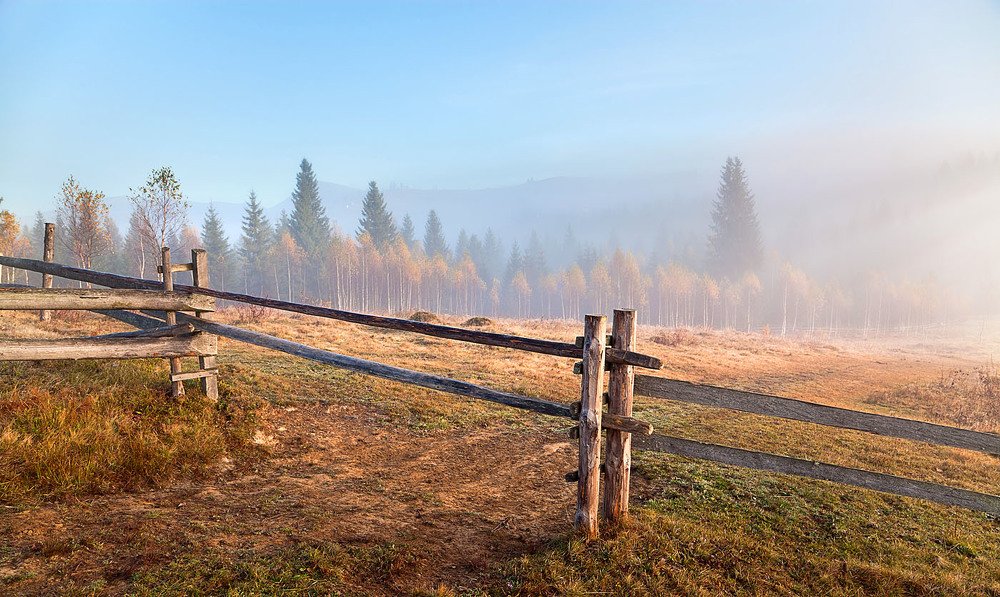 Photograph by Юлия Рублевская