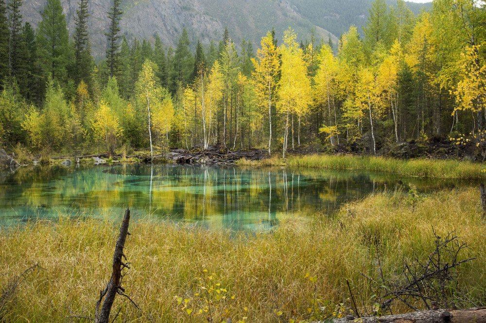 Photograph by KateAkh