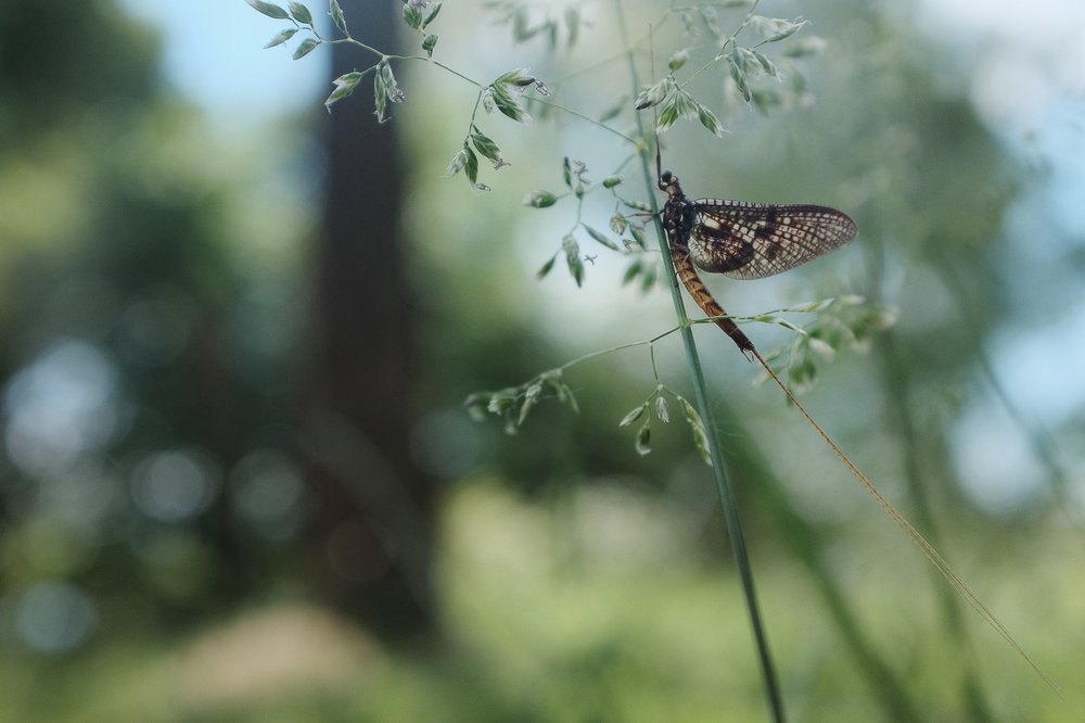 Photograph by Вадим Никифоров