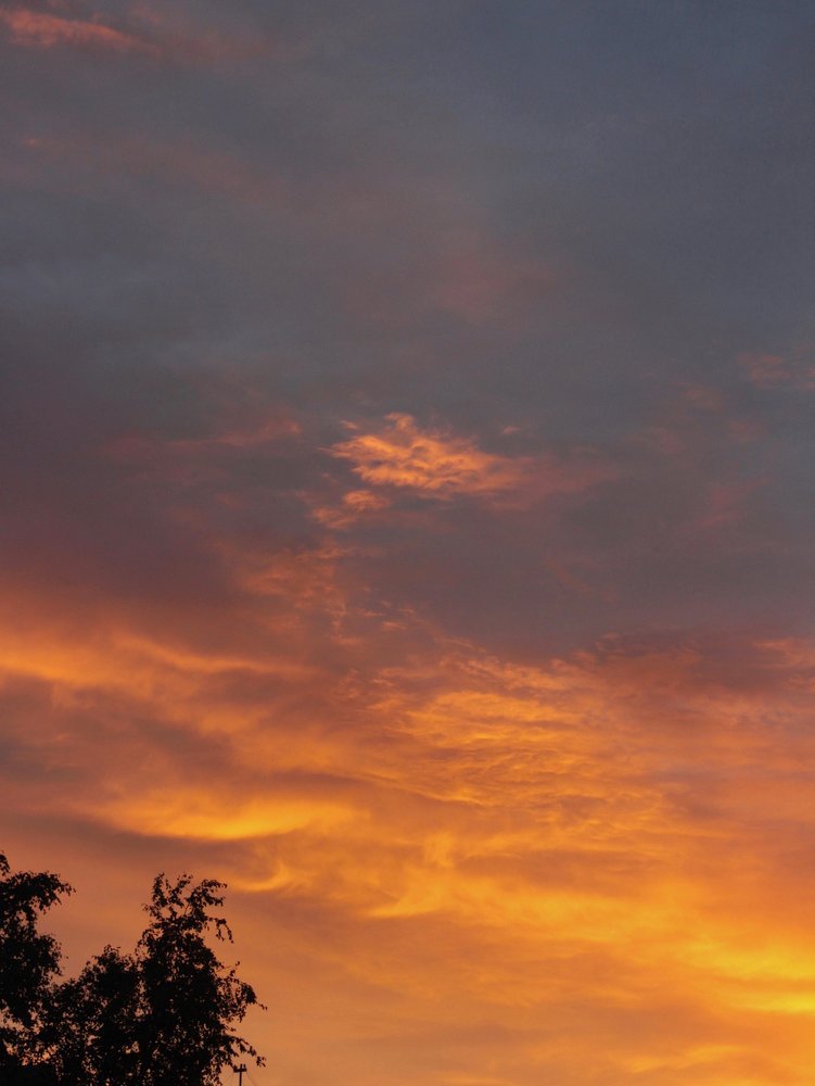 Photograph by Анастасия Племениченко