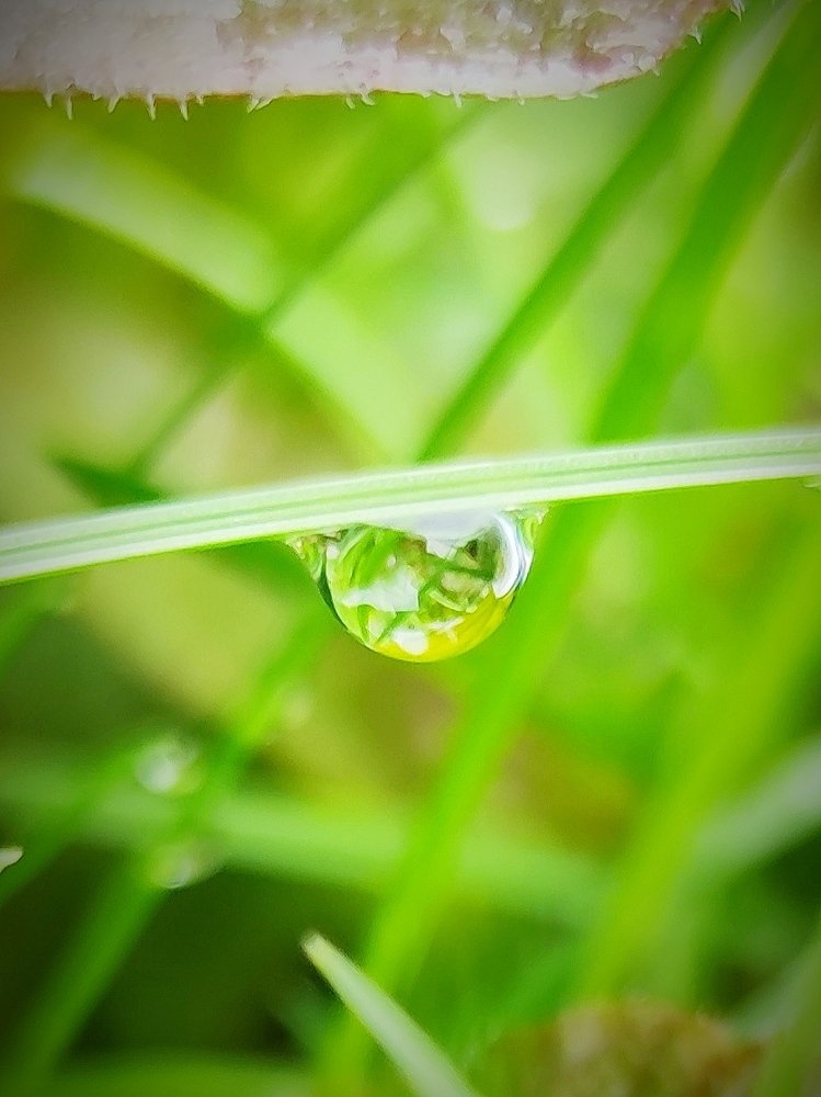 Photograph by Федотова Ольга