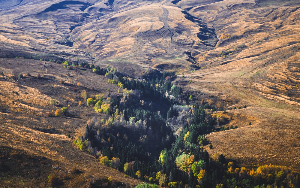 Photograph by Антон Литвин