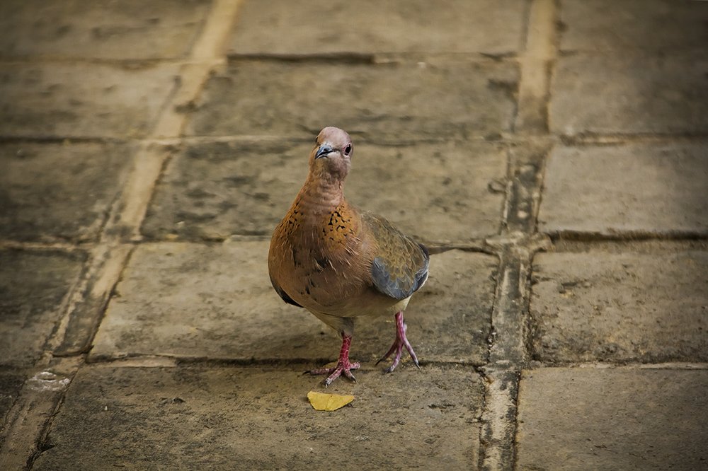 Photograph by hamed moradi