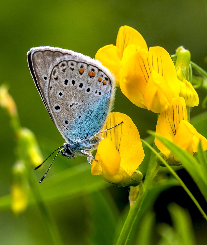 Photograph by Александр Есликов