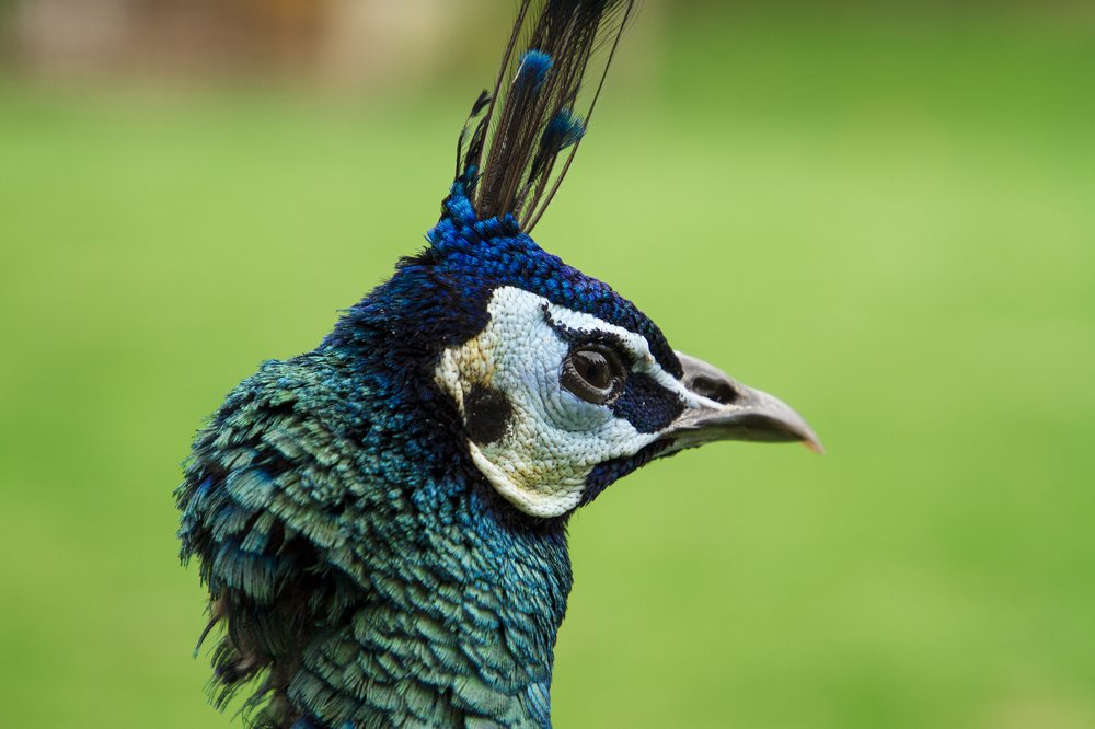 Photograph by hamed moradi