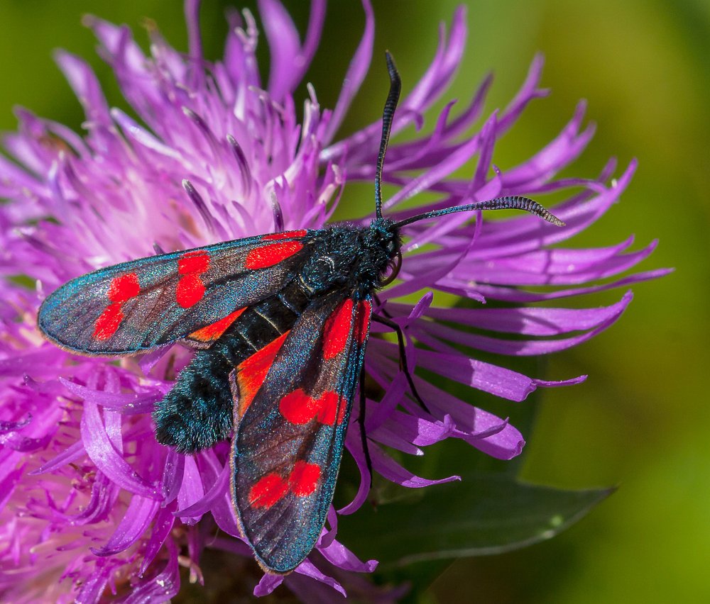 Photograph by Александр Есликов