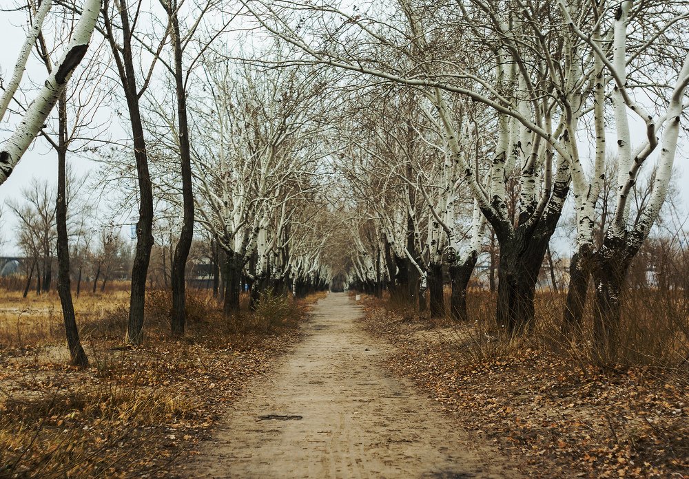 Photograph by Игорь Мальцев