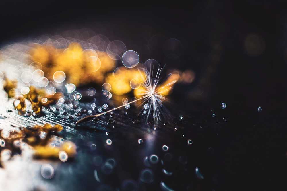 Photograph by Кирилл Кульган