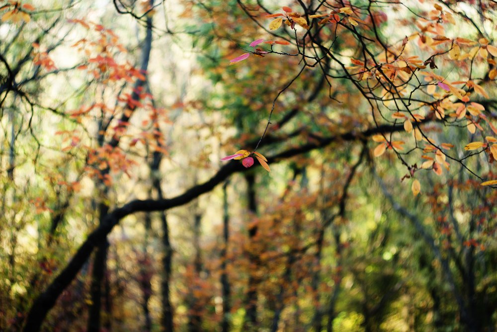 Photograph by Игорь Мальцев