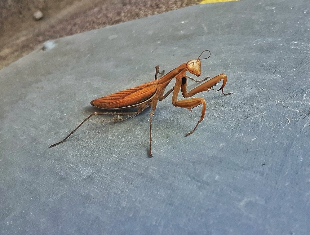 Фотография автора Milan Stipanovic