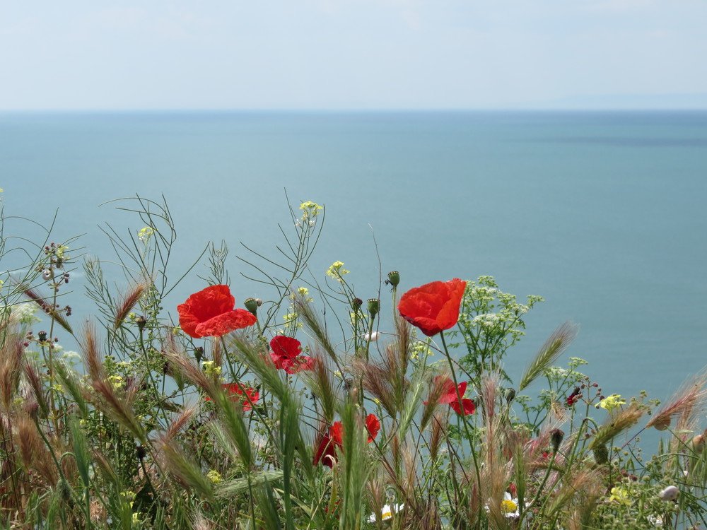 Photograph by Walentin
