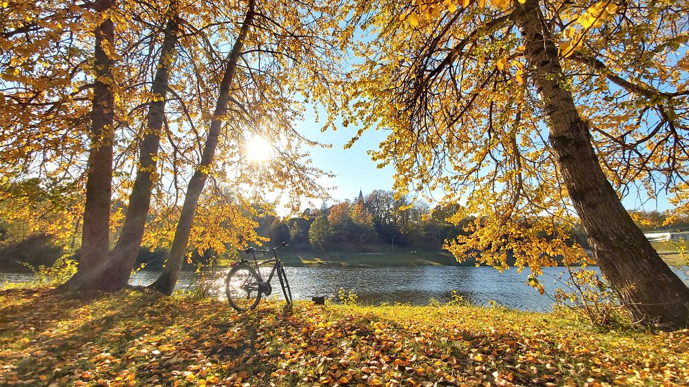 Photograph by Alla Matrosova