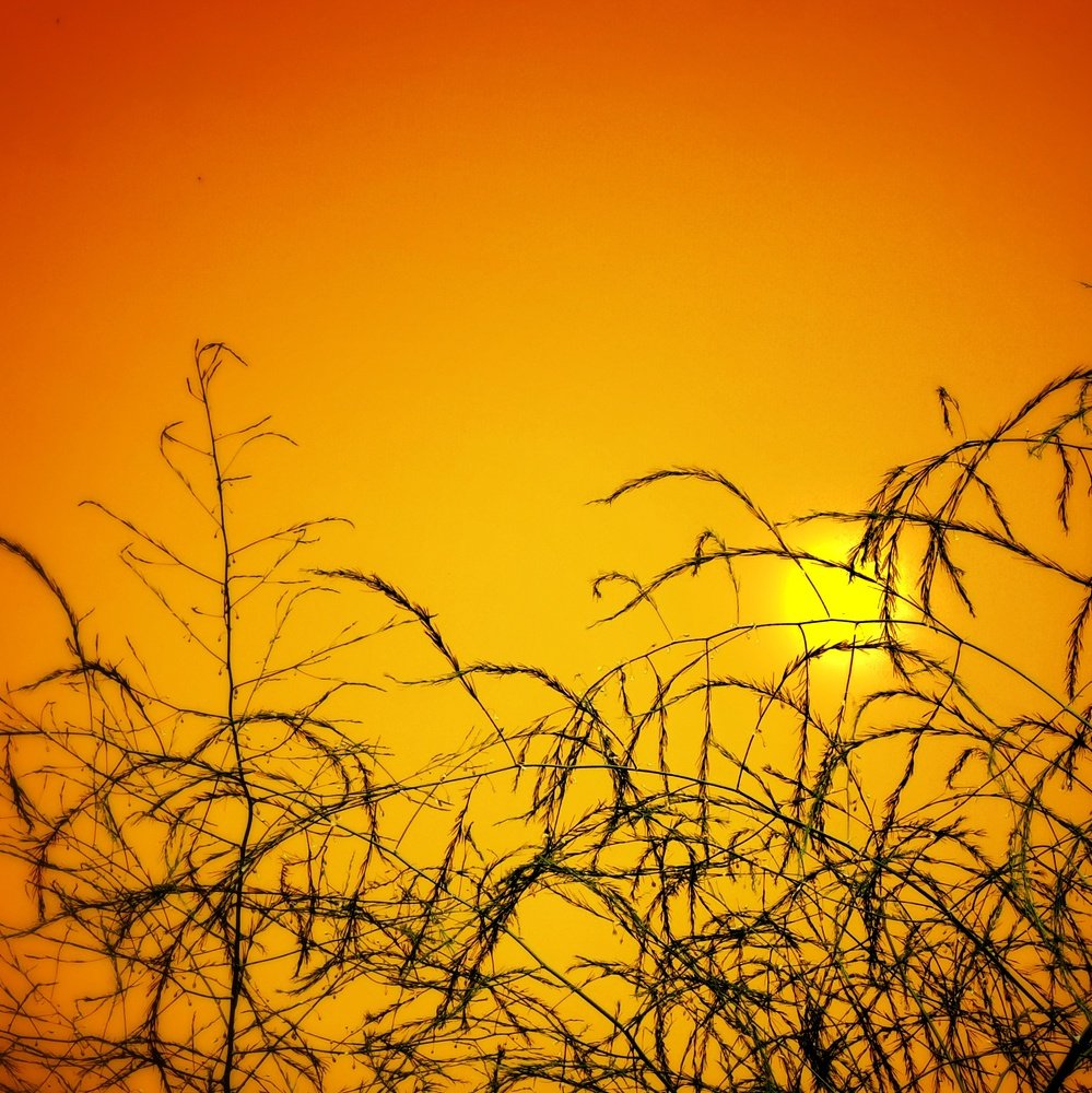 Photograph by Юрий Полушин