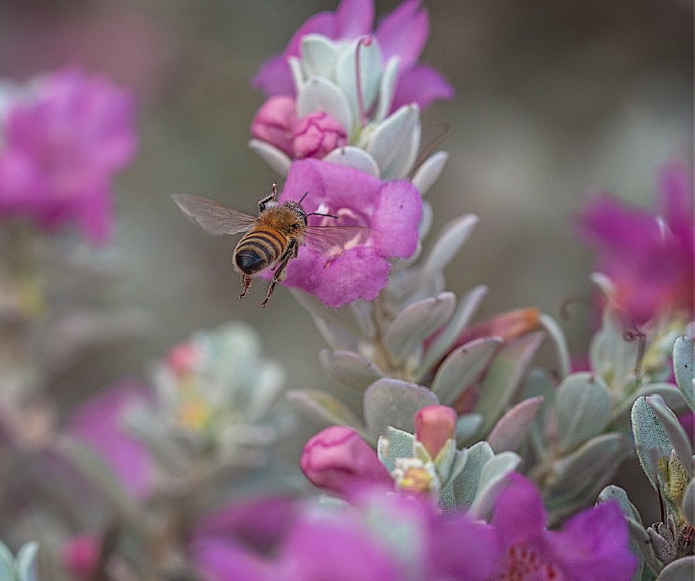 Фотография автора Сергей Середовой
