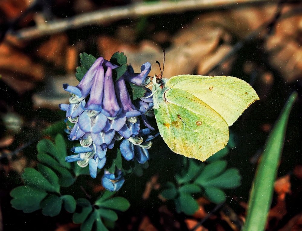 Photograph by Кирилл Кульган