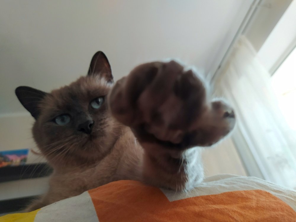 Наташ, вставай!