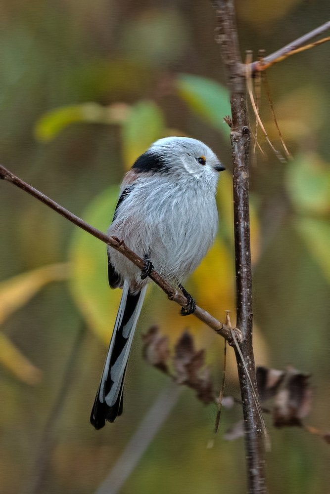 Photograph by Viktor Makarov
