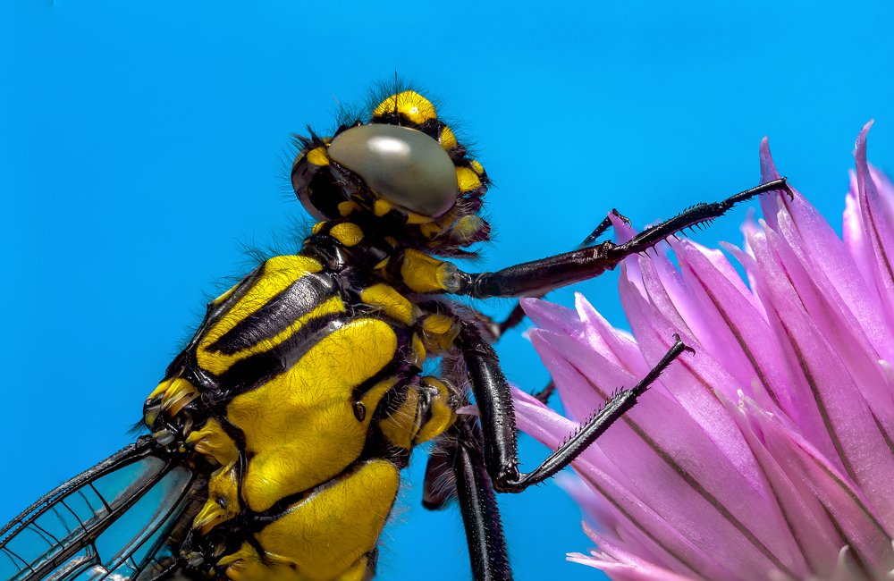 Photograph by Александр Плисик