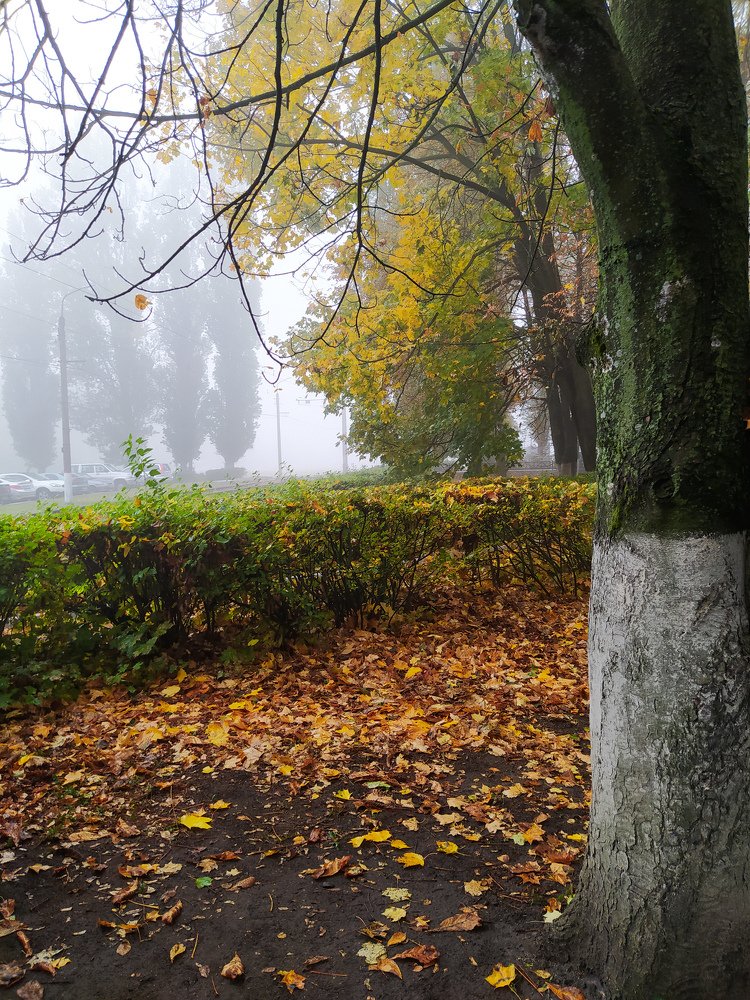 Photograph by Александра Петряева