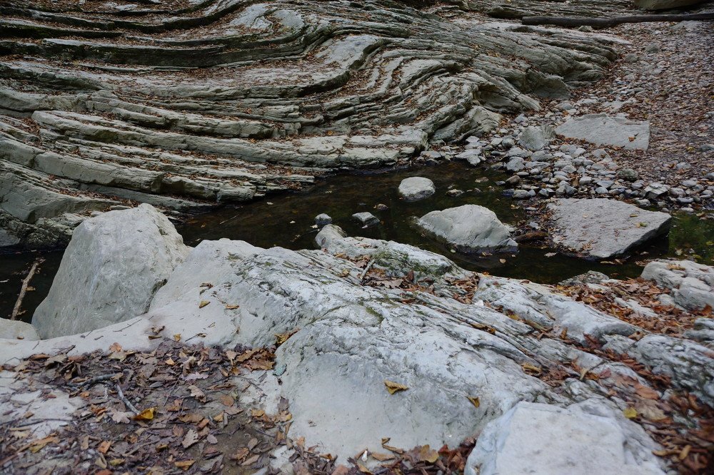 Речной вернисаж.