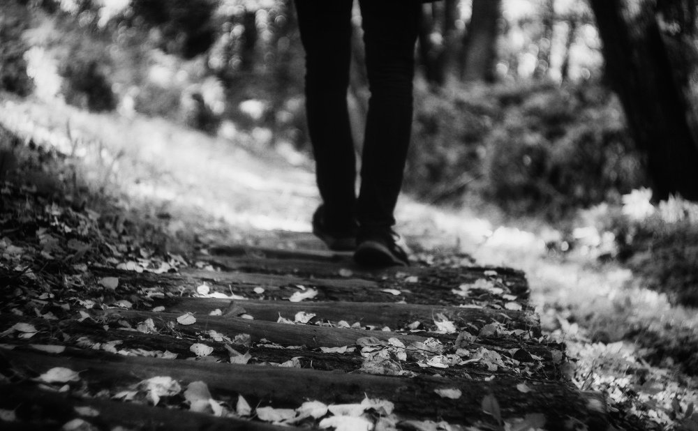 Photograph by Александра Петряева