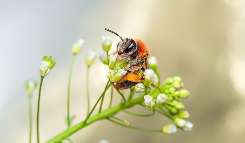 Photograph by Александр Плисик